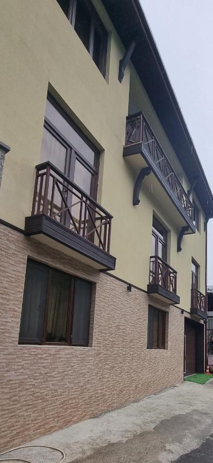 Villa Beridze Borjomi Exterior photo